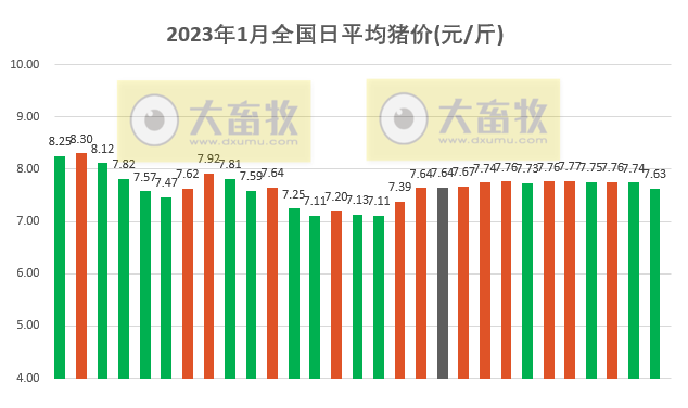2023.01.29今日猪价