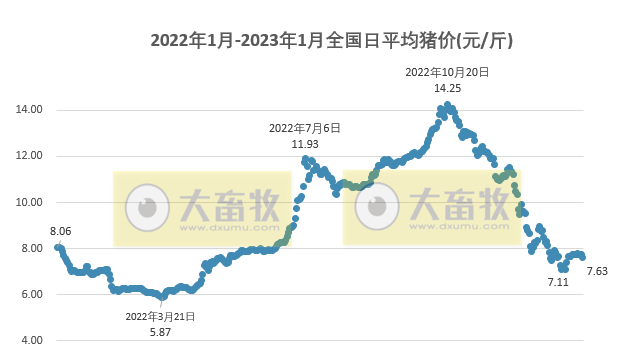 2023.01.29今日猪价