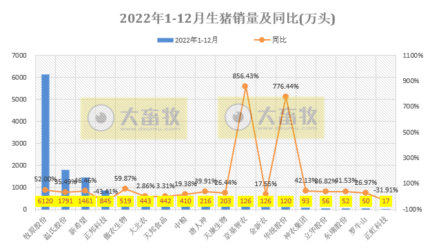18家上市猪企2022年12月及年度生猪销售业绩和生产指标PK