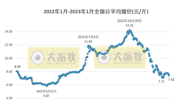 2023.01.30今日猪价