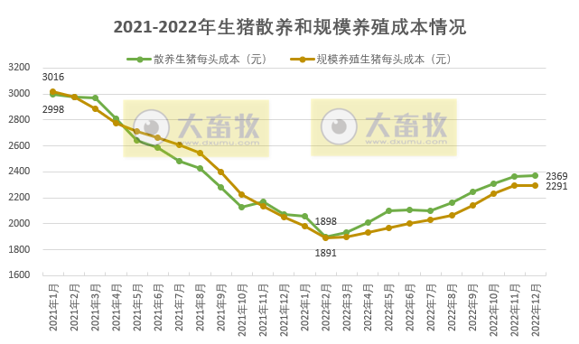 2022年生猪散养和规模养猪的成本盈亏对比