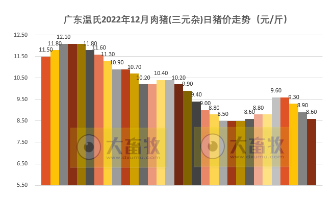 2022年12月及年度生猪行业数据汇总