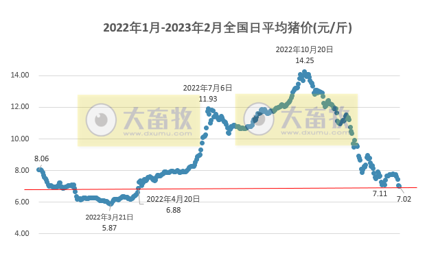 2023.02.01今日猪价