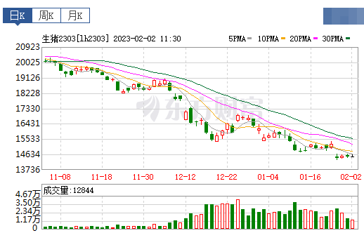 2023.02.02今日猪价