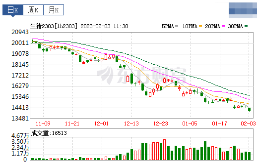 2023.02.03今日猪价