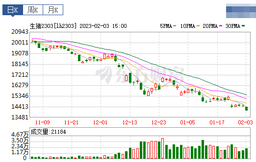 2023.02.04今日猪价
