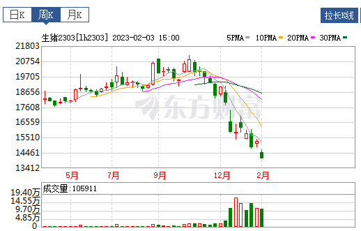 2023.02.05今日猪价