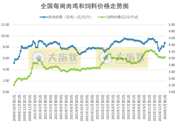 猪粮比跌破5预计发布一级预警,养猪头均亏损近300元——发改委发布2023年2月第1周生猪和家禽盈利情况及预期