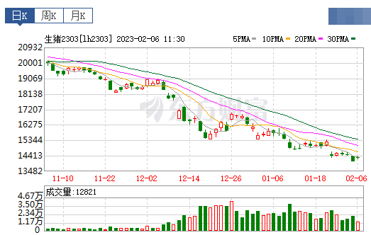 2023.02.06今日猪价