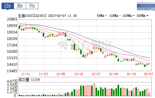 2023.02.07今日猪价