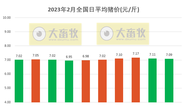 2023.02.10今日猪价