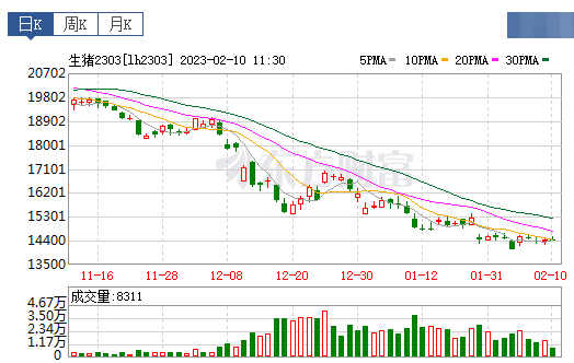 2023.02.10今日猪价