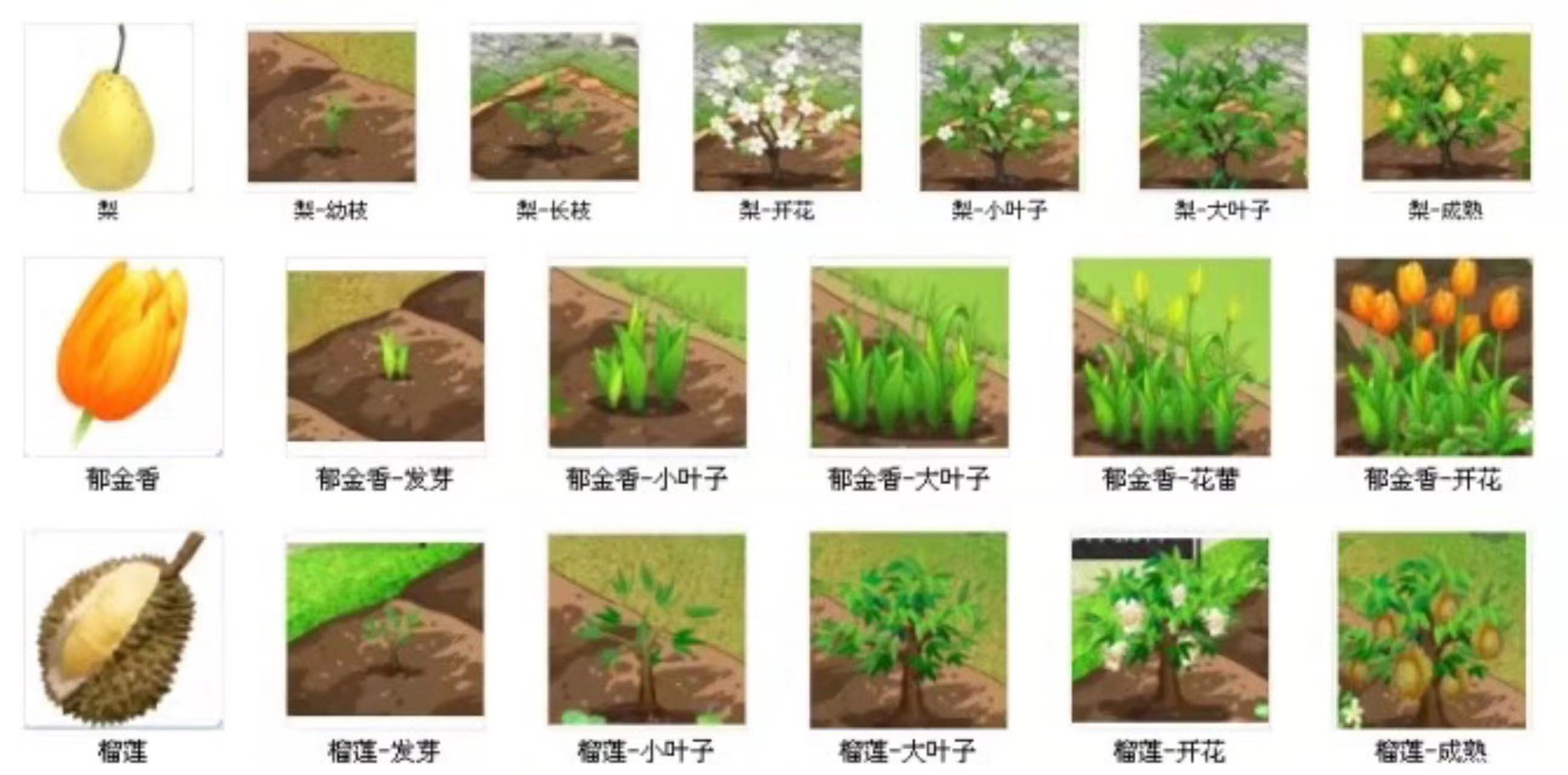 你玩过的那些游戏，开心消消乐为何这么火？