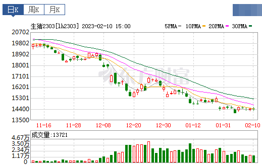 2023.02.11今日猪价