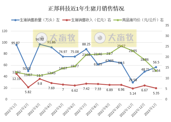 17家上市猪企2023年1月生猪销售情况汇总