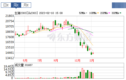 2023.02.12今日猪价