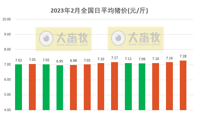 2023.02.13今日猪价