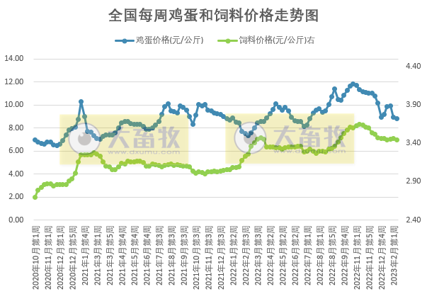 猪粮比连续2周跌破5,养猪头均亏损近300元,肉鸡盈利创新高——发改委发布2023年2月第2周生猪和家禽盈利情况及预期