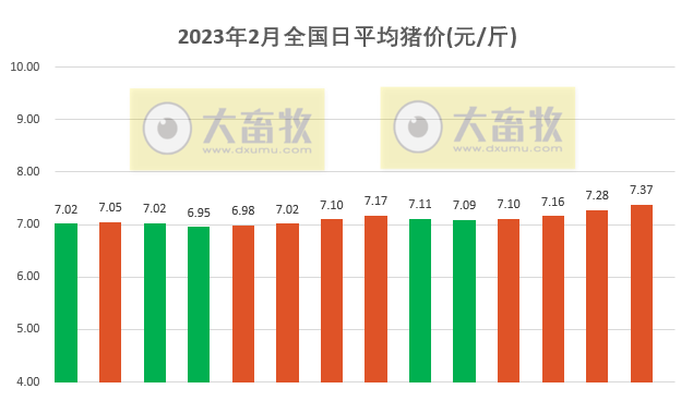 2023.02.14今日猪价
