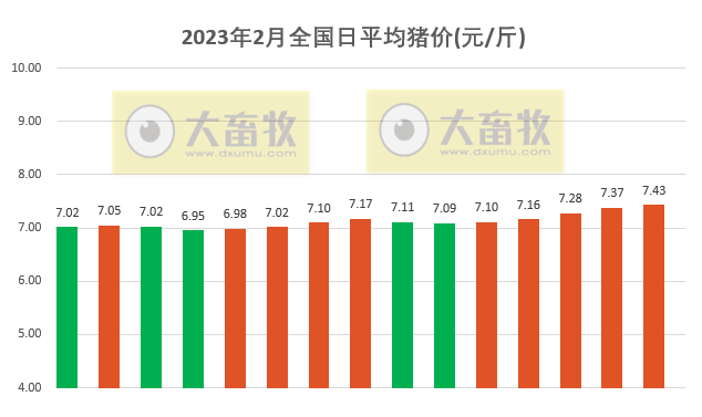2023.02.15今日猪价