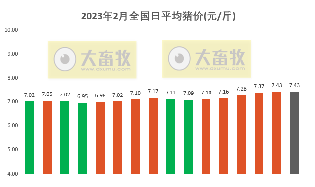 2023.02.16今日猪价