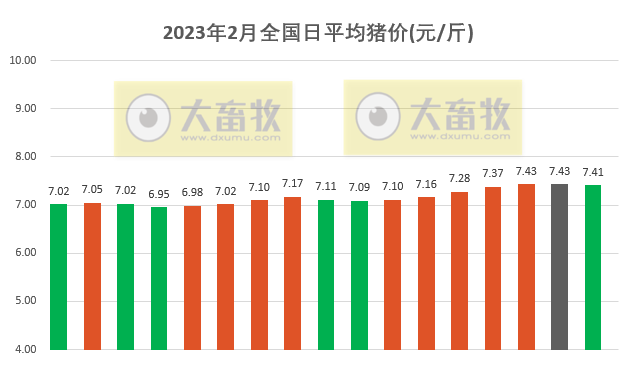 2023.02.17今日猪价