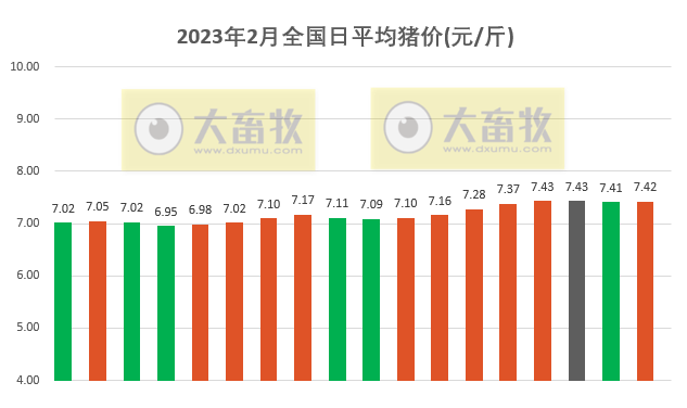 2023.02.18今日猪价