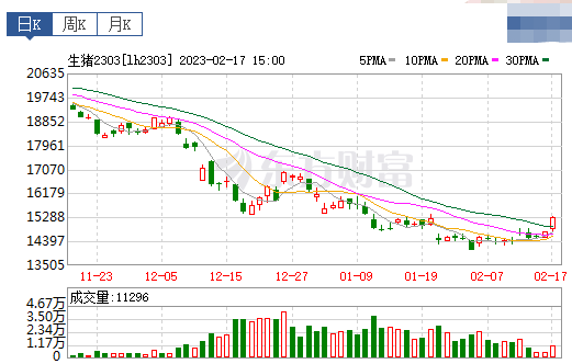 2023.02.18今日猪价
