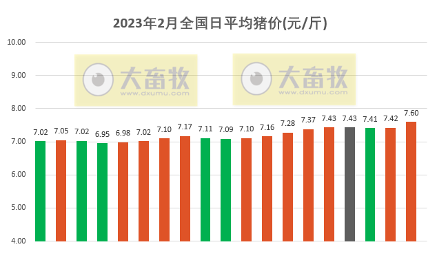 2023.02.19今日猪价