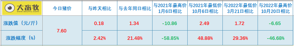 2023.02.19今日猪价