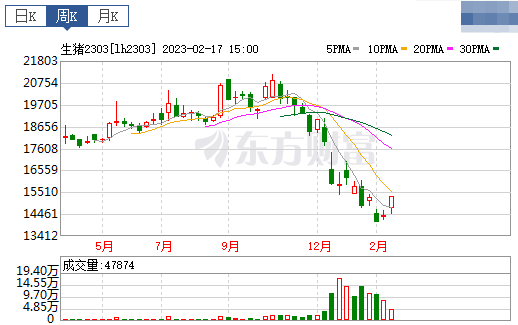 2023.02.19今日猪价