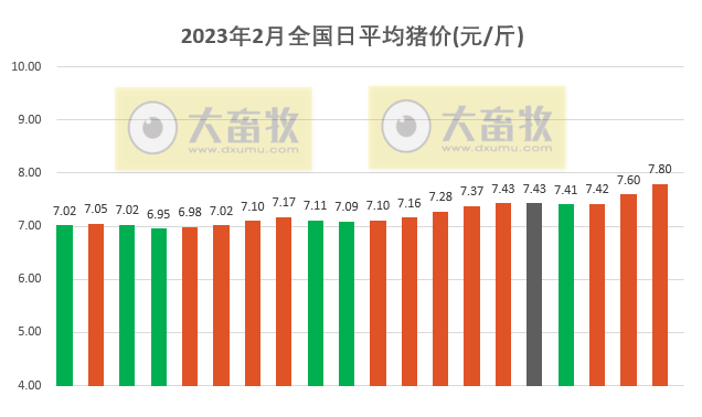 2023.02.20今日猪价