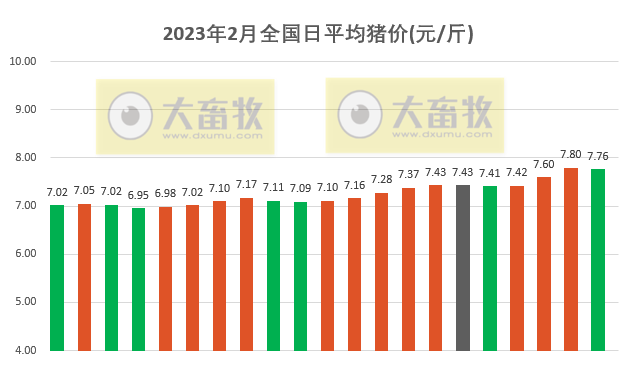 2023.02.21今日猪价