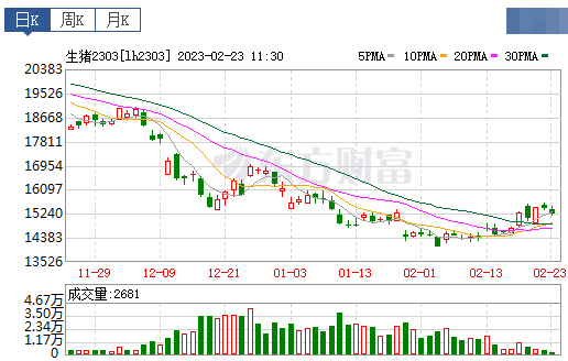 2023.02.23今日猪价
