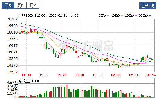 2023.02.24今日猪价