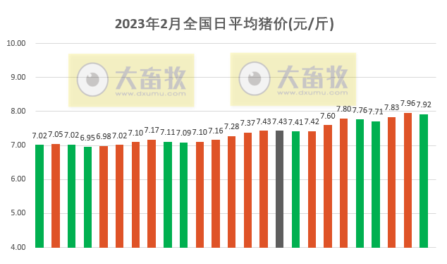 2023.02.25今日猪价