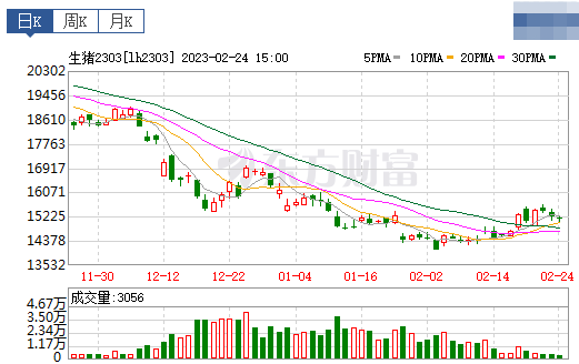 2023.02.25今日猪价