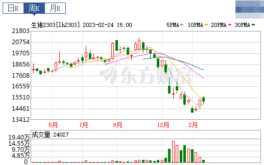2023.02.26今日猪价