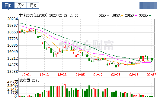 2023.02.27今日猪价