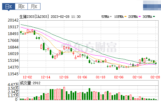2023.02.28今日猪价