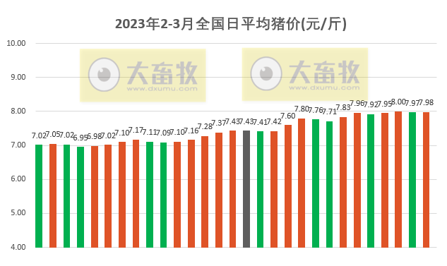 2023.03.01今日猪价