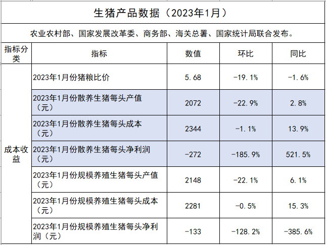 2023年1月生猪规模养殖和散养盈亏情况