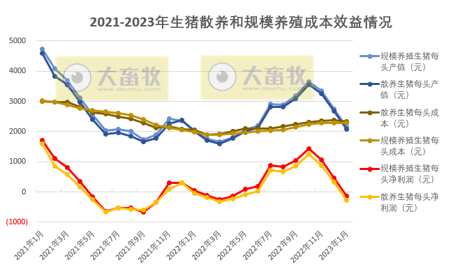 2023年1月生猪规模养殖和散养盈亏情况