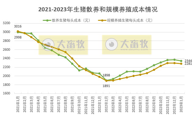 2023年1月生猪规模养殖和散养盈亏情况