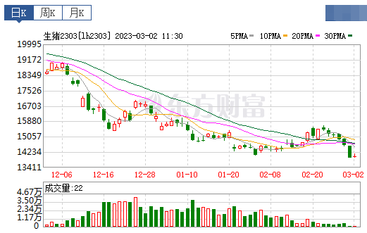2023.03.02今日猪价