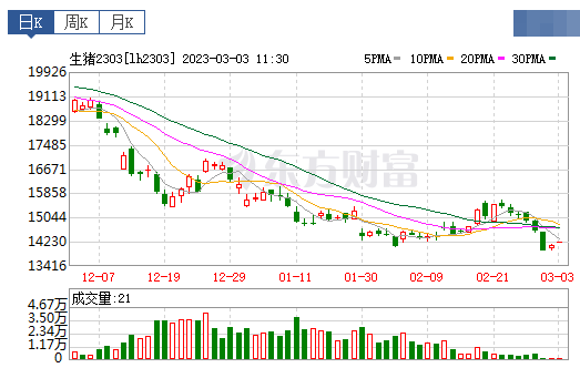 2023.03.03今日猪价