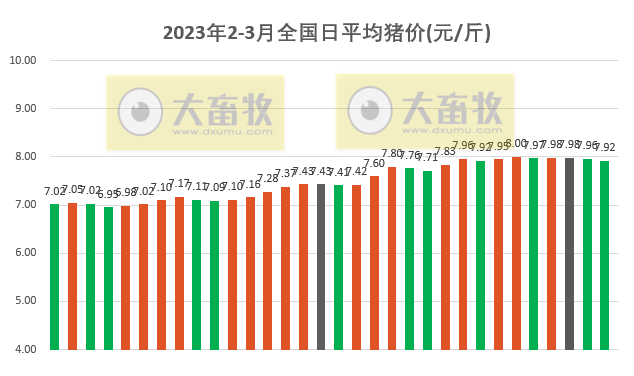 2023.03.04今日猪价