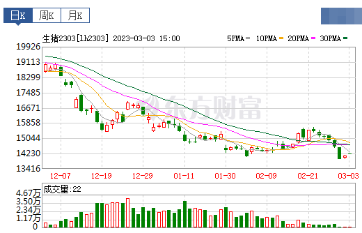 2023.03.04今日猪价