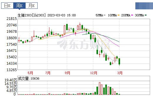 2023.03.05今日猪价