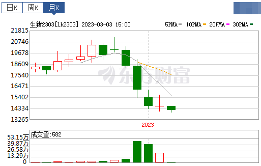2023.03.05今日猪价